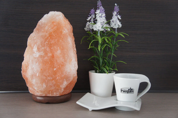 Natural Salt Lamp Mini